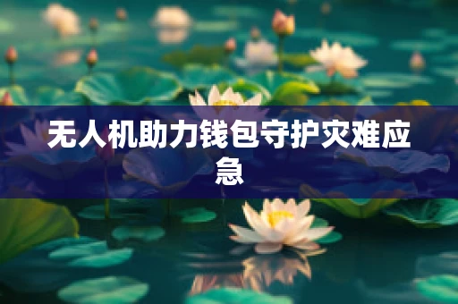 无人机助力钱包守护灾难应急