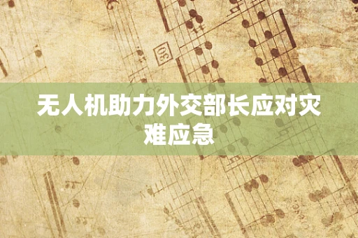 无人机助力外交部长应对灾难应急