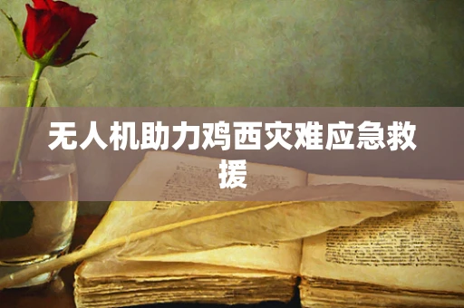 无人机助力鸡西灾难应急救援