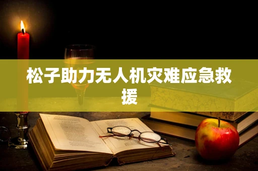 松子助力无人机灾难应急救援
