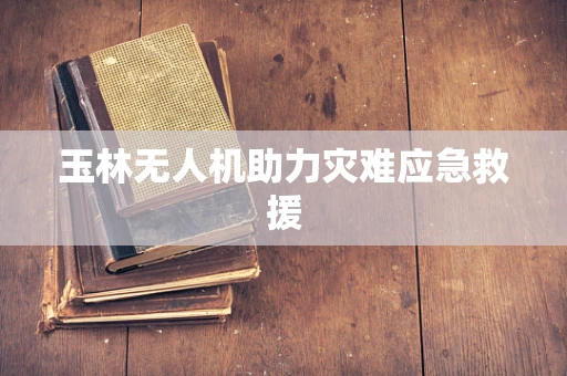 玉林无人机助力灾难应急救援