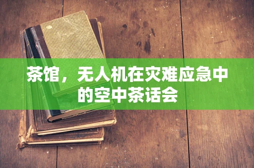 茶馆，无人机在灾难应急中的空中茶话会