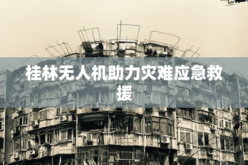 桂林无人机助力灾难应急救援