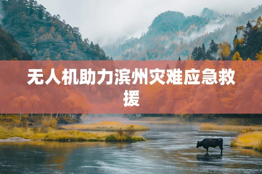 无人机助力滨州灾难应急救援