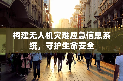 构建无人机灾难应急信息系统，守护生命安全
