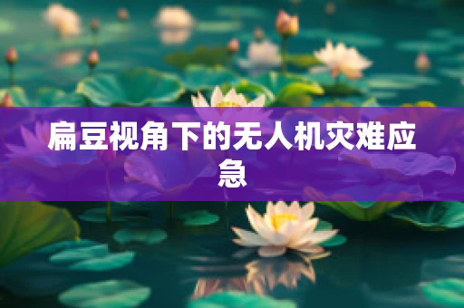 扁豆视角下的无人机灾难应急