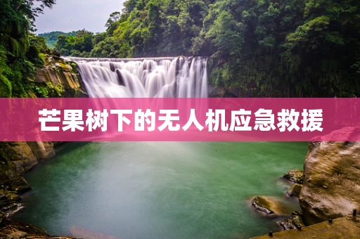 芒果树下的无人机应急救援