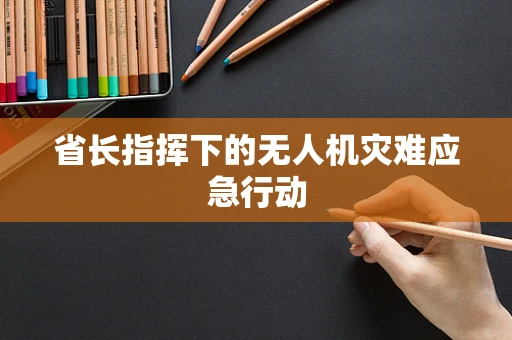 省长指挥下的无人机灾难应急行动