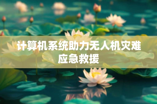 计算机系统助力无人机灾难应急救援