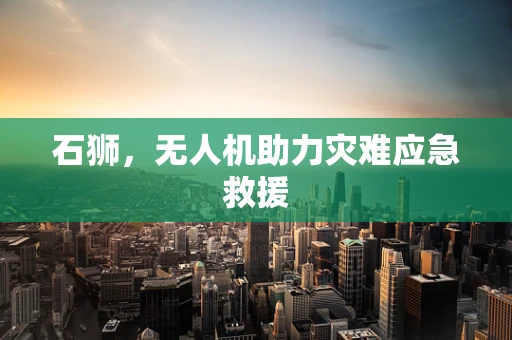 石狮，无人机助力灾难应急救援