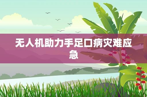 无人机助力手足口病灾难应急