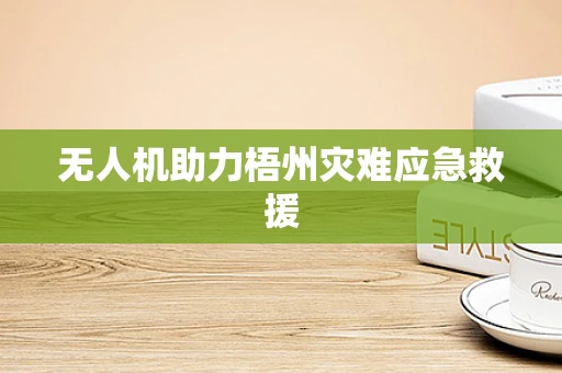 无人机助力梧州灾难应急救援
