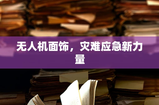 无人机面饰，灾难应急新力量