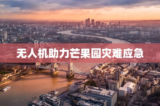 无人机助力芒果园灾难应急