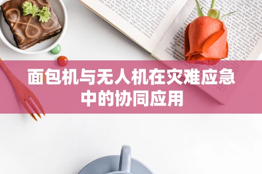 面包机与无人机在灾难应急中的协同应用