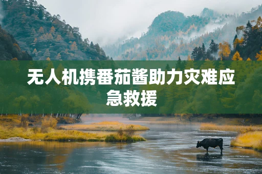 无人机携番茄酱助力灾难应急救援