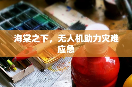 海棠之下，无人机助力灾难应急