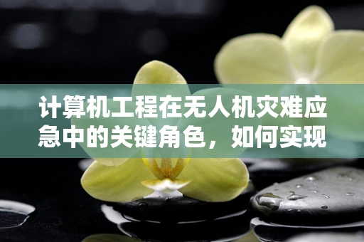计算机工程在无人机灾难应急中的关键角色，如何实现快速决策支持？