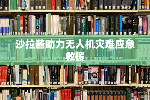 沙拉酱助力无人机灾难应急救援
