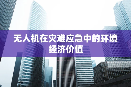 无人机在灾难应急中的环境经济价值