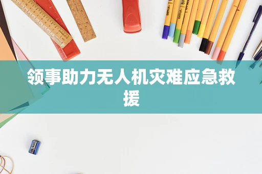 领事助力无人机灾难应急救援