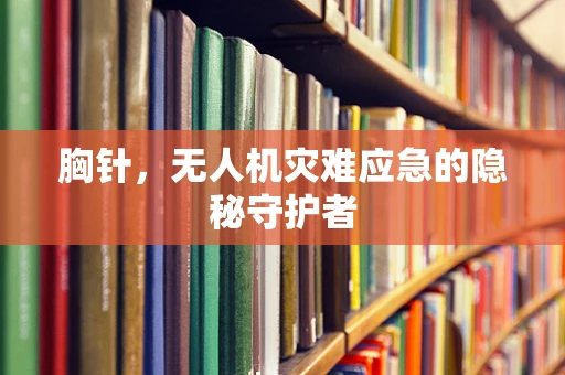 胸针，无人机灾难应急的隐秘守护者