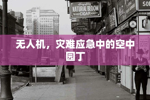 无人机，灾难应急中的空中园丁