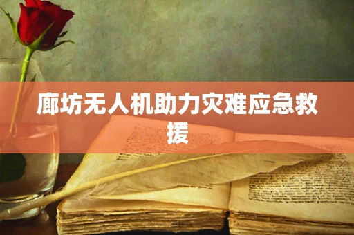 廊坊无人机助力灾难应急救援