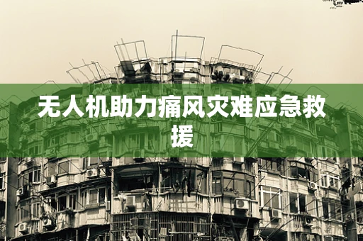 无人机助力痛风灾难应急救援