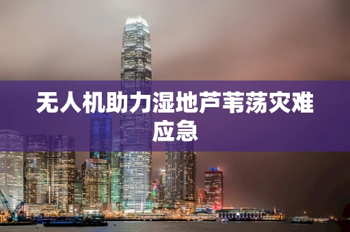 无人机助力湿地芦苇荡灾难应急