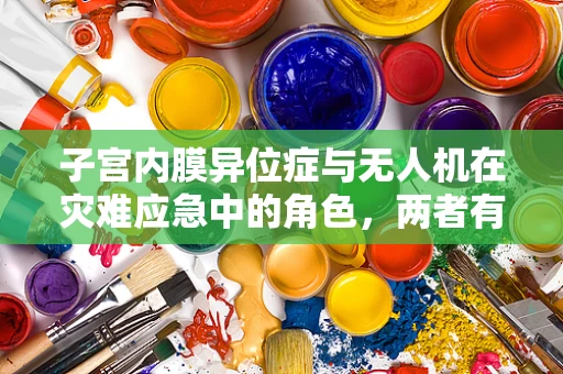 子宫内膜异位症与无人机在灾难应急中的角色，两者有何交集？