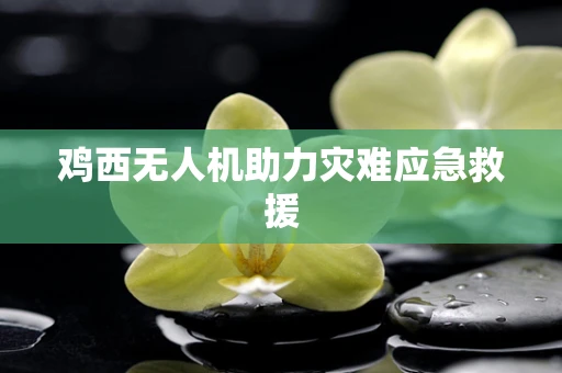 鸡西无人机助力灾难应急救援