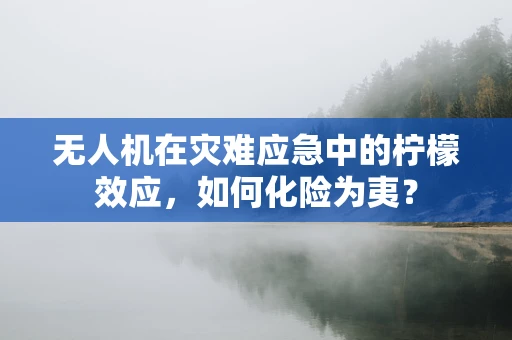无人机在灾难应急中的柠檬效应，如何化险为夷？