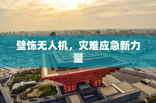 壁饰无人机，灾难应急新力量