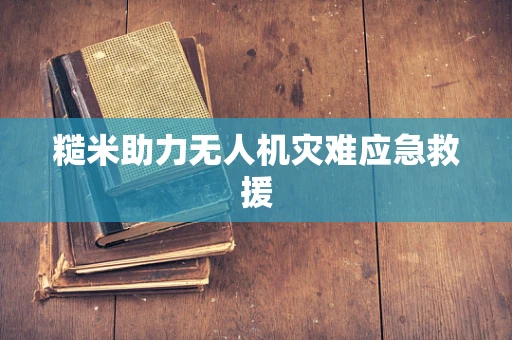 糙米助力无人机灾难应急救援