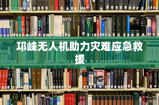 邛崃无人机助力灾难应急救援