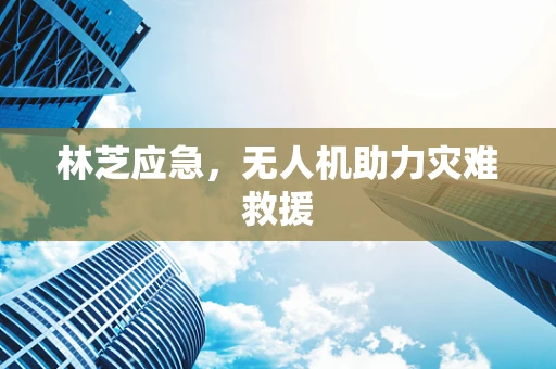 林芝应急，无人机助力灾难救援