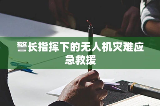 警长指挥下的无人机灾难应急救援