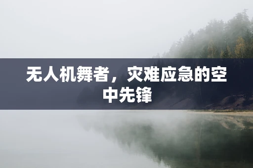 无人机舞者，灾难应急的空中先锋