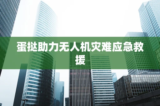 蛋挞助力无人机灾难应急救援