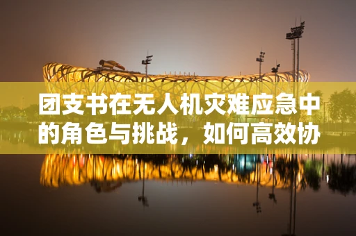 团支书在无人机灾难应急中的角色与挑战，如何高效协调资源？