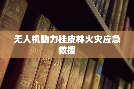 无人机助力桂皮林火灾应急救援