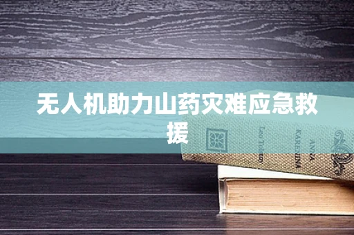 无人机助力山药灾难应急救援