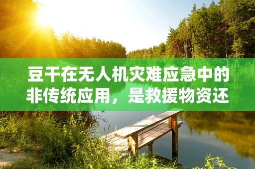 豆干在无人机灾难应急中的非传统应用，是救援物资还是意外障碍？