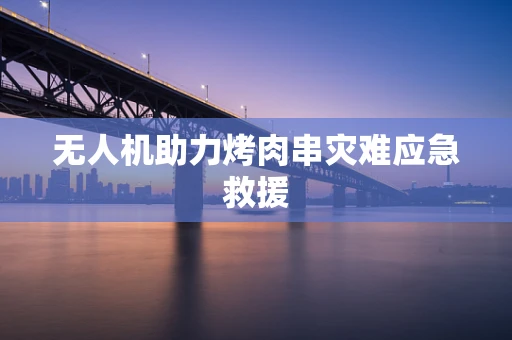 无人机助力烤肉串灾难应急救援