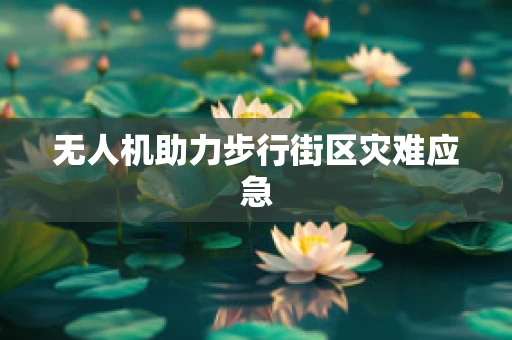 无人机助力步行街区灾难应急