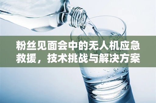 粉丝见面会中的无人机应急救援，技术挑战与解决方案