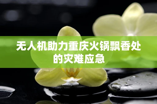 无人机助力重庆火锅飘香处的灾难应急