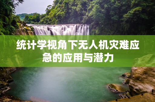 统计学视角下无人机灾难应急的应用与潜力