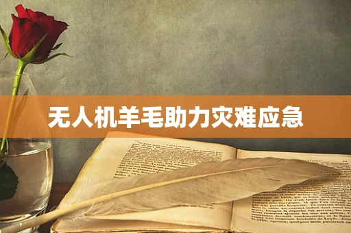 无人机羊毛助力灾难应急
